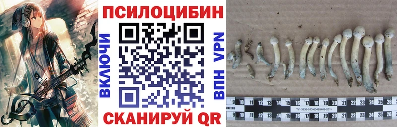 наркота Шилка Галлюциногенные грибы ЛСД